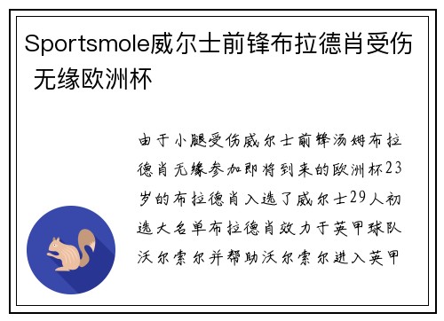 Sportsmole威尔士前锋布拉德肖受伤 无缘欧洲杯